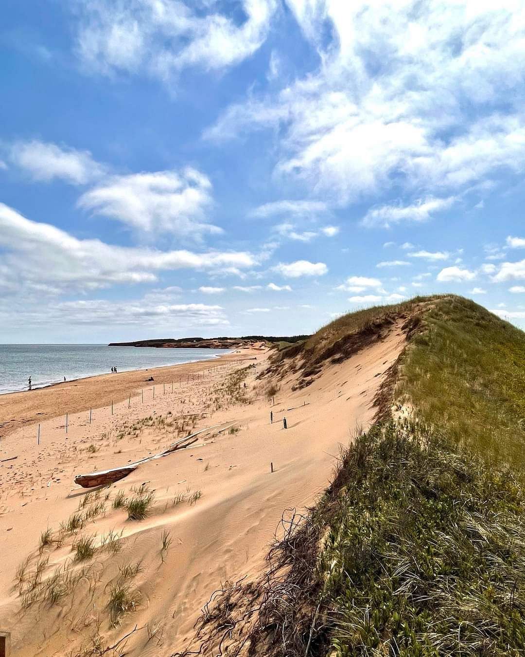 Pink Sand Beaches Pink Sand Beaches